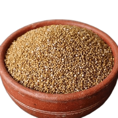 Barnyard Millet