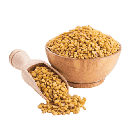 Fenugreek