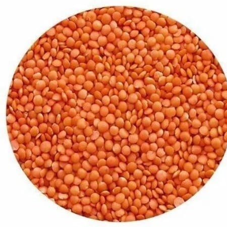 Lentil (Masoor Malka)