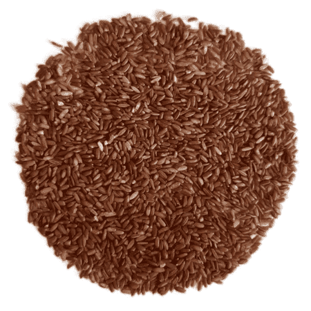 Red Rice